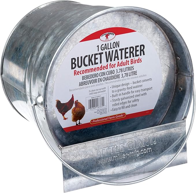Little Giant® 2 in 1 Bucket Poultry Waterer | Galvanized Chicken Waterer | Poultry Fountain and Waterer | 1 Gallon