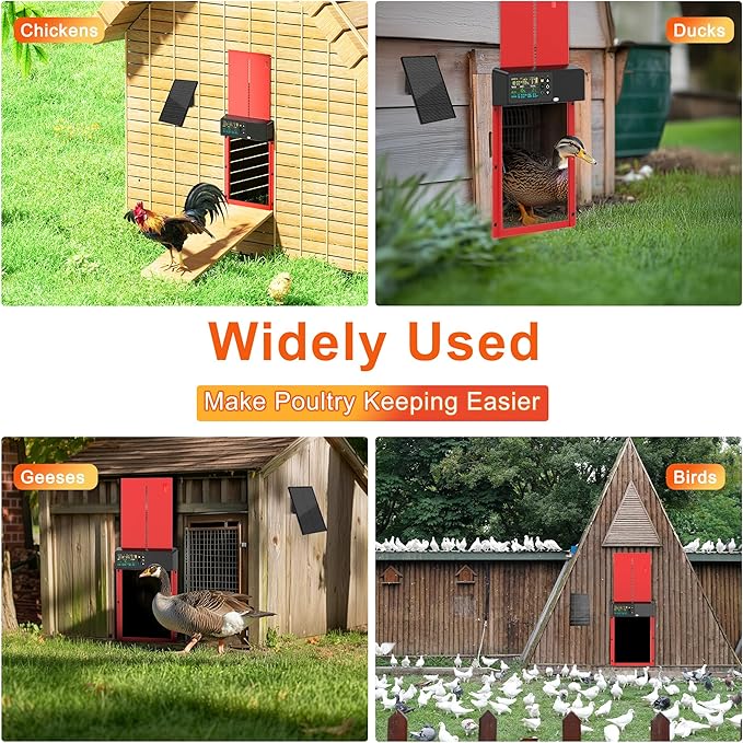 Chicken Coop Door Solar Powered with Programmable Remote Control, Automatic Aluminum Chicken Door 4 Modes with Color LCD Display