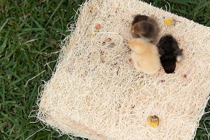 Chicken Nesting Pads with Aromatic Nest Herbs | Natural Excelsior Aspen Fiber Poultry Bedding | 13 x 13 Inches | Pack of 10