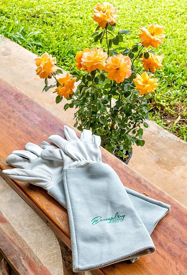 Rose Pruning Gloves for Men and Women - Thorn Proof Goatskin Leather Gardening Gloves with Gauntlet (Extra Large，Natural)