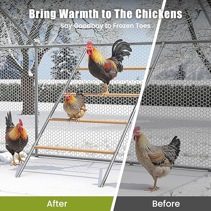 Chicken Roosting Perch - Heavy Duty 4-Tier Metal & Wood Chicken Roost Bars, Large Cock Coop Accessory - Easy Install (55" L x 40" W) for Backyard Poultry, Hens & Farm Pens