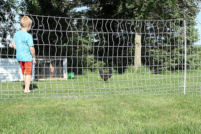 Starkline 48" x 164' Electric Poultry Netting with Double Spiked Fiberglass Posts | Electric Fence for Chickens in Backyards, Homesteads, Farms and Ranches