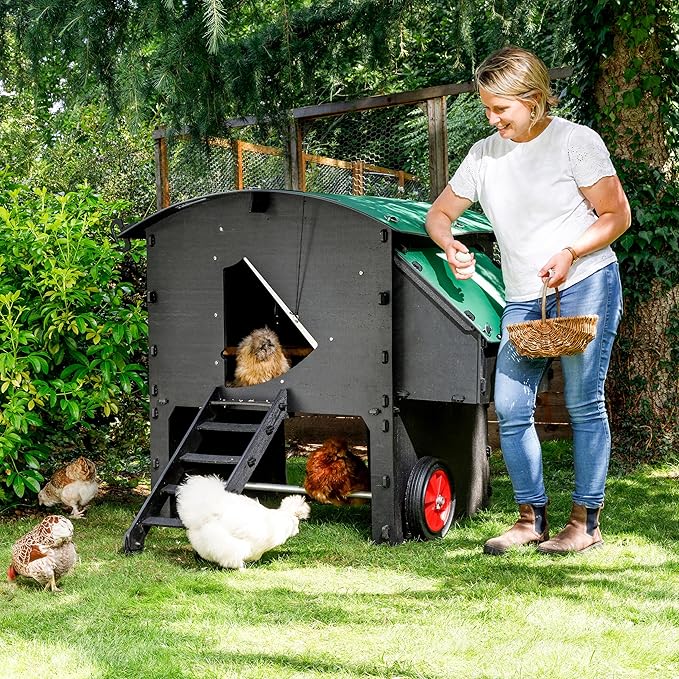 Plastic Chicken Coop 25yr Lifespan - Large Penthouse Chicken Coop for 8 Chickens Or 15 Bantams | 2 Rounded Perches for Chickens & Hens to Roost | Penthouse for Poultry with 2 Nesting Boxes & Ladder