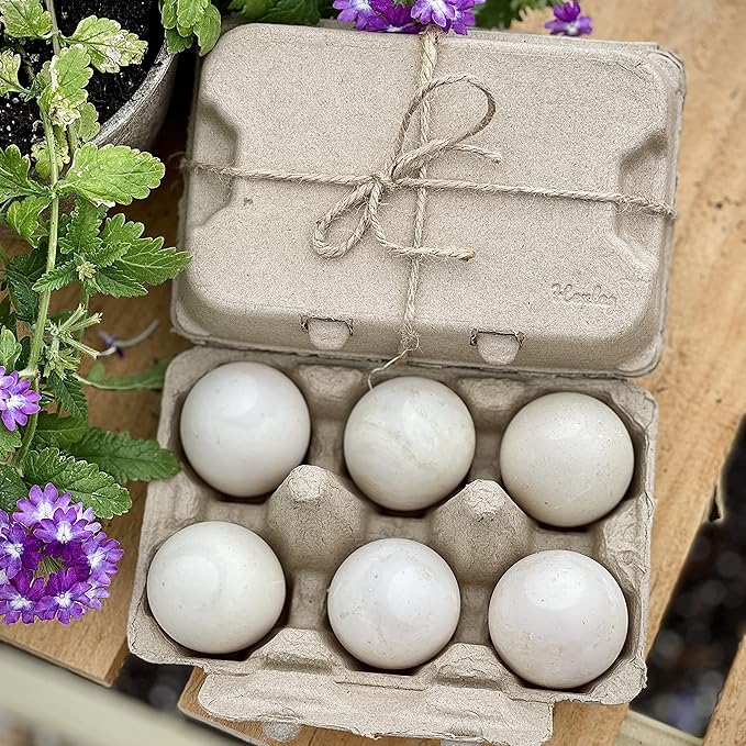 Henlay Half Dozen Duck Egg Cartons – Holds 6 Jumbo Eggs – Blank Top for Custom Labels – Eco-Friendly Paper Pulp – Ideal for Farm Fresh or Backyard Eggs - 100 Pack