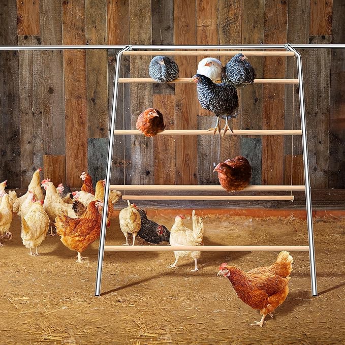 Chicken Roosting Bars with Swing for Coop, Large 4-Tier Wood Chicken Perch for Backyard Poultry, Non-Slip Design, Durable Galvanized Metal Frame, Essential Chicken Coop Accessories (55" L x 40" W)