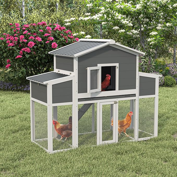 Wooden Chicken Coop with Run, Outdoor Chicken House with 2 Nest Boxes for 2-6 Chickens, Outside Hen House Poultry House Pet Hutch Chicken Cage with Waterproof Roof & Ramp, (66''LX32''WX53''H)