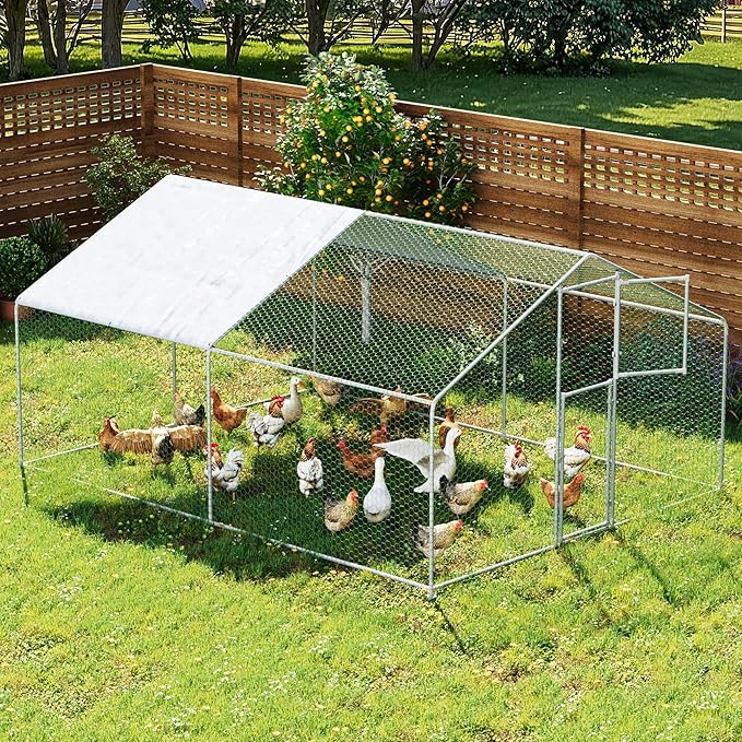 Large Metal Chicken Coop,19.7x9.8x6.4 FT Chicken Run for Yard with Waterproof & Anti-UV Cover,Walk in Chicken Pen with Feeding Door (13.1 * 9.8 * 6.4 ft)
