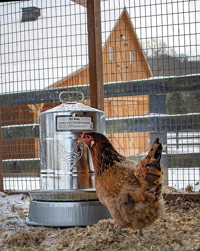 Harris Farms Double Wall Poultry Drinker|Automatic Poultry Water|5 Gallons