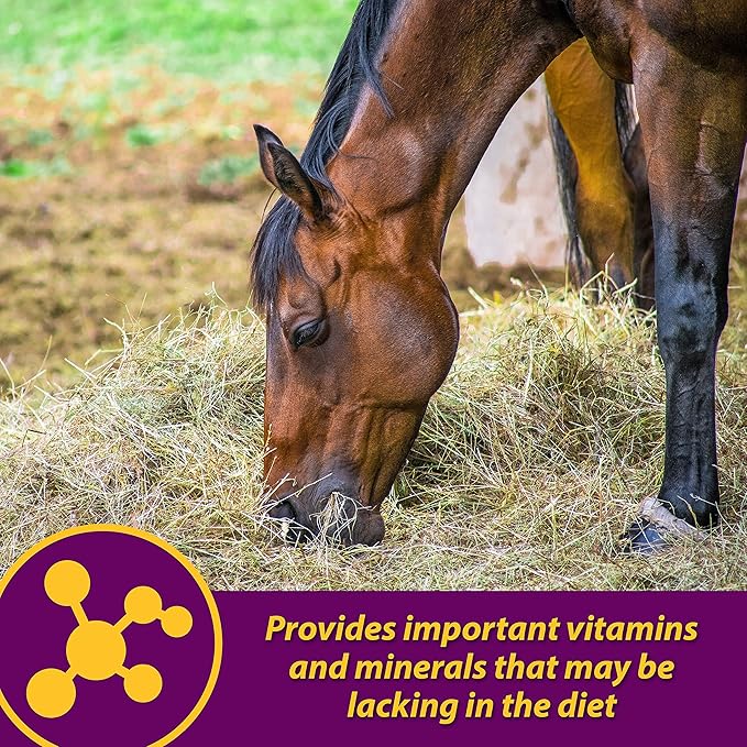Horse Health Red Cell, Liquid Vitamin-Iron-Mineral Supplement for Horses, Helps Fill Important Nutritional Gaps in Horse's Diet, 1 Gallon, 128 Oz., 64-Day Supply