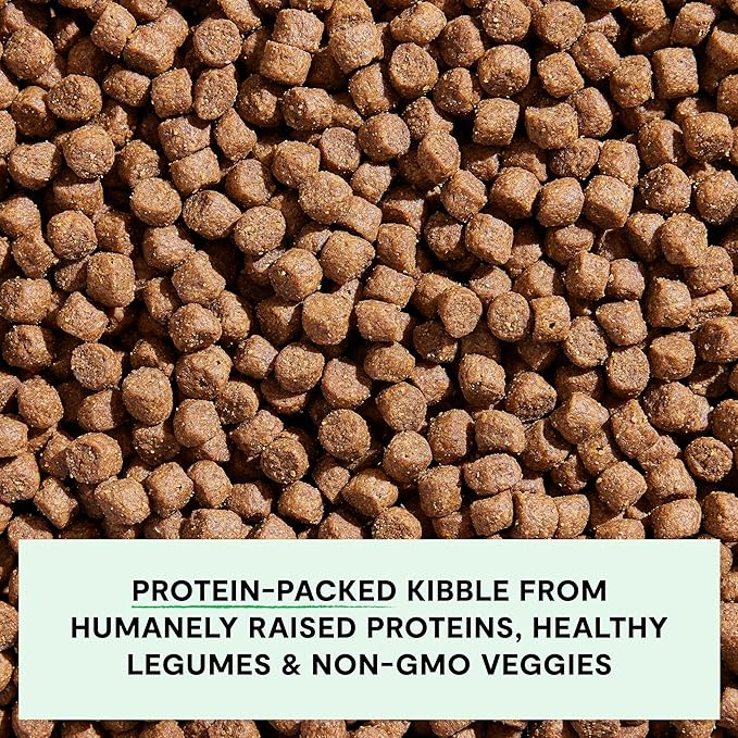 Open Farm, Grain-Free Dry Dog Food for Senior Dogs, Complete & Balanced Kibble to Support Joints & Mobility, Sustainably & Ethically Sourced Ingredients, Chicken & Turkey Recipe for Seniors, 4lb Bag