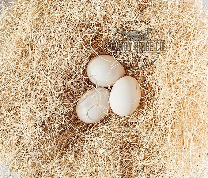 Natural Chicken Nesting Pads - 10 Pack - Aspen Excelsior Bedding Hen Nest Box Liners - USA Made - 13" x 13"