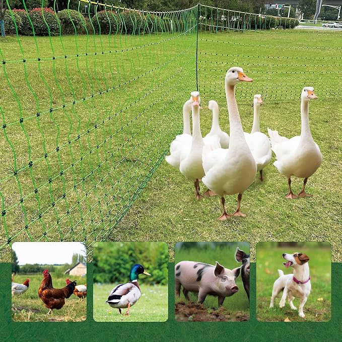 2 Pack Premium Portable Pre-Assembled Poultry Netting Electric Fence 47.3" x 98.5', Green,Utility Portable Mesh for Chickens, Ducks,Geese,Rabbits,Used in Backyards,Farms,and Ranches
