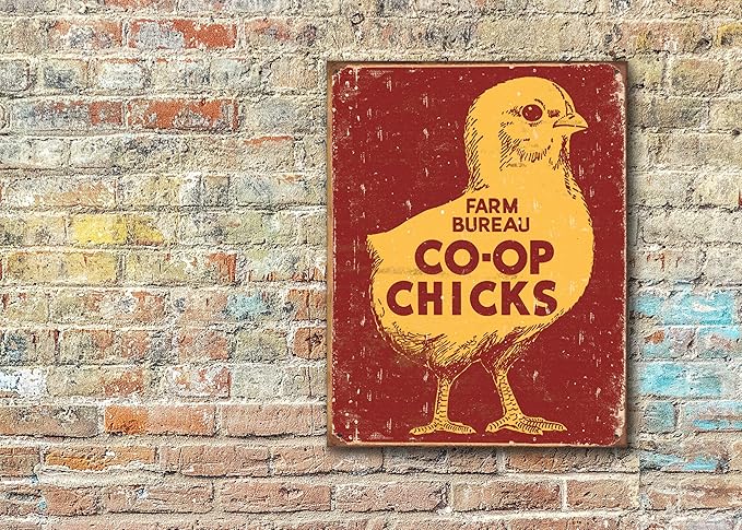 Desperate Enterprises Farm Bureau Co-Op Chicks Tin Sign - Nostalgic Vintage Metal Wall Decor - Made in USA