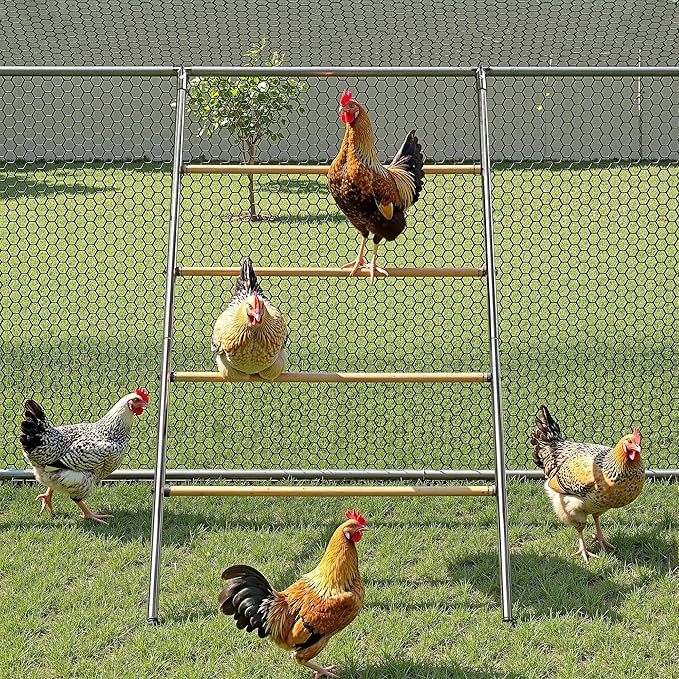 Chicken Roosting Perch - Heavy Duty 4-Tier Metal & Wood Chicken Roost Bars, Large Cock Coop Accessory - Easy Install (55" L x 40" W) for Backyard Poultry, Hens & Farm Pens