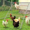 YUMEKA Chicken Roosting Ladder,Chicken Perch for Coop,Chick Roosting Bars, Cock Coop Toys, Suitable for Chicken Run and Chicken Perch, Backyard Poultry, Farm Roost Toys for Hen 55.1' L x 40.1' W