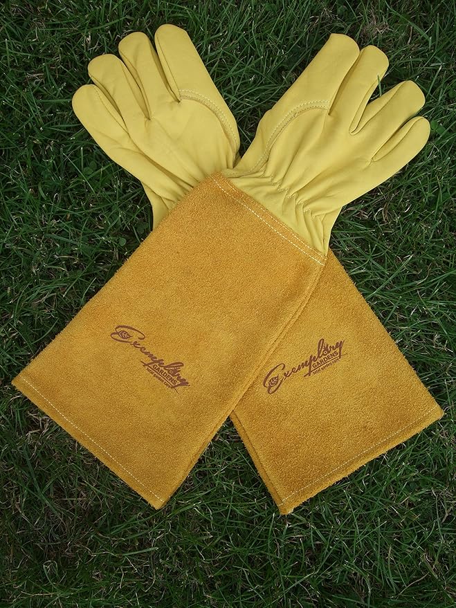 Rose Pruning Gloves for Men and Women - Thorn Proof Goatskin Leather Gardening Gloves with Gauntlet (Medium, Yellow)