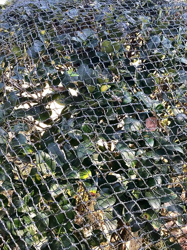 Bluefire Direct Commercial Grade Heavy Duty Polyethylene Anti Bird Netting for Garden Blueberries Fruit Trees Poultry Cage Pond Net Reusable Does not Tangle Snag or Rot (13 ft x13 ft)