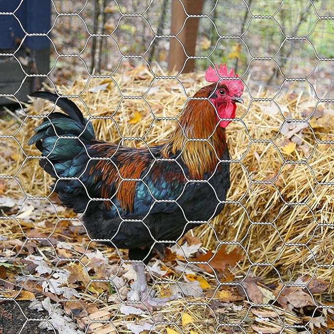 Far North Chicken Wire 20ga (25, 3)