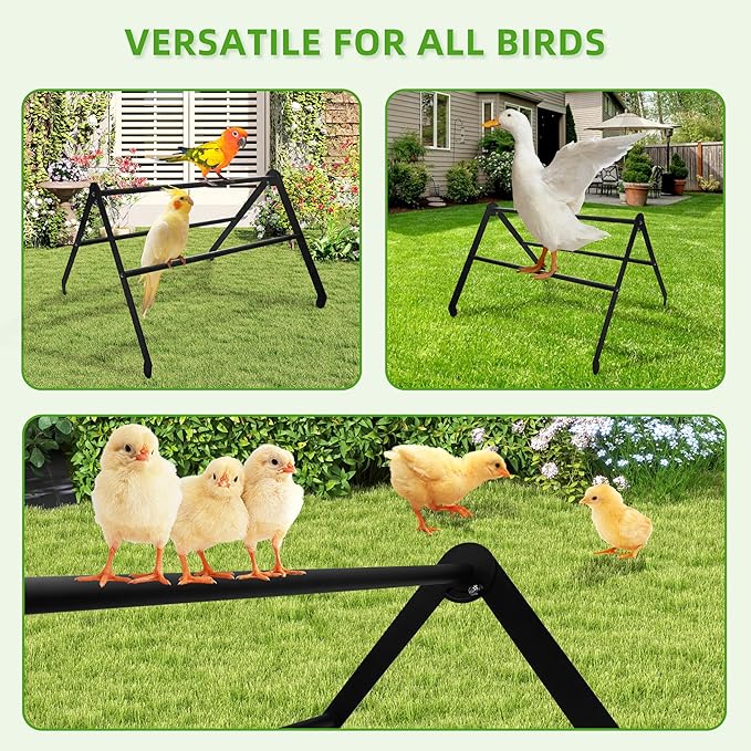 Chicken Roosting Bars for Coop - 3-Tier Heavy-Duty Metal Perch - 2026 Large Adjustable Training Ladder for Hens - High Weight Capacity, Weather-Resistant, No-Tool Assembly